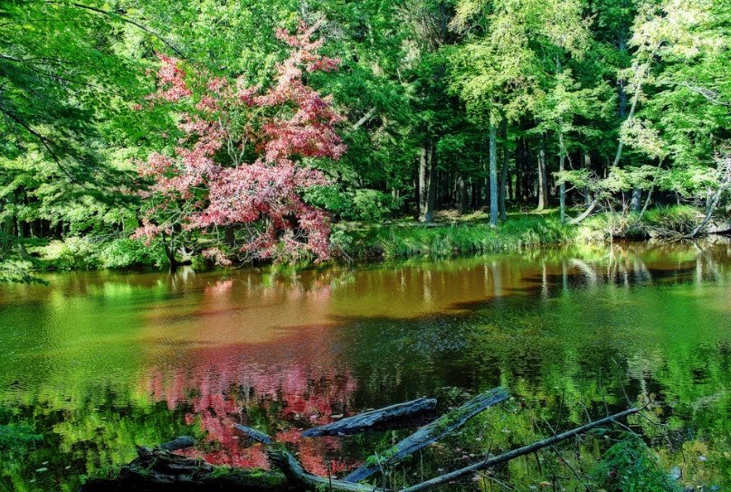 Brunet Island State Park, Wisconsin, USA